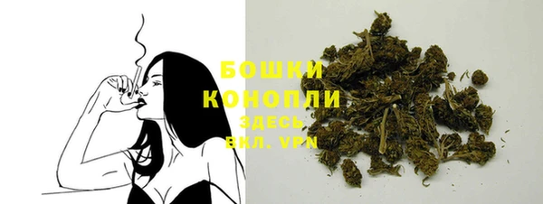сатива Михайлов