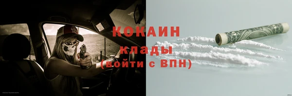 трава Медвежьегорск