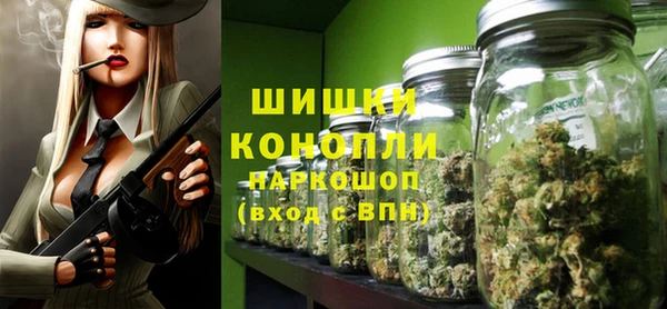 сатива Михайлов