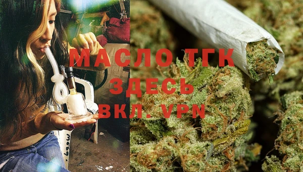 сатива Михайлов