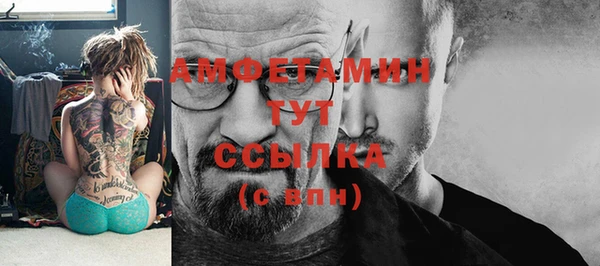 сатива Михайлов