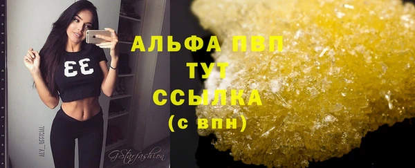 сатива Михайлов