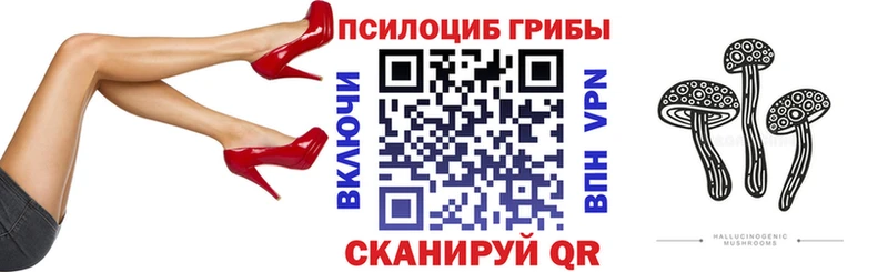 KRAKEN tor  Голицыно  Галлюциногенные грибы Magic Shrooms  купить наркотики цена 